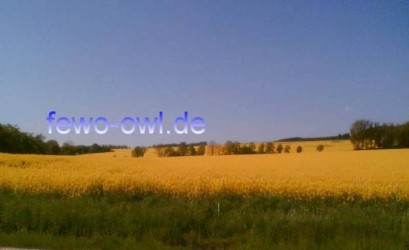 Ferienwohnung Blomberg Ferienwohnung Blomberg